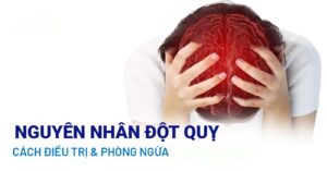 Nguyên nhân gây ra đột quỵ